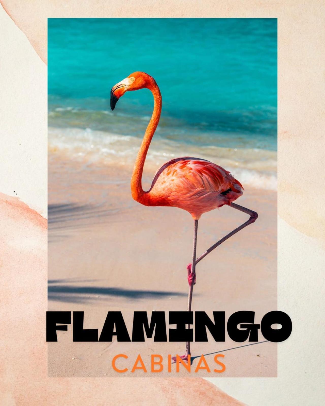 Cabinas Flamingo Playa Flamingo Exteriér fotografie
